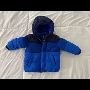 Baby Gap Boys Puffer Coat